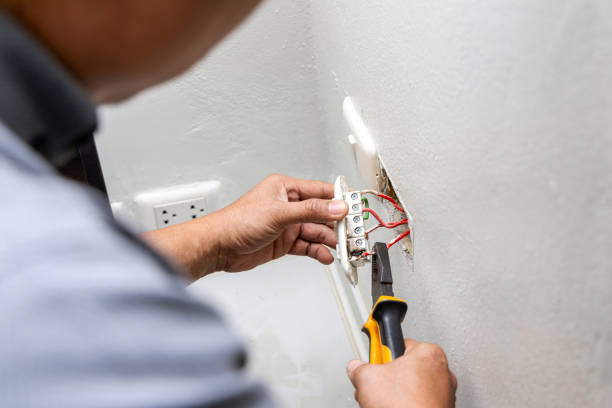 Best Electrical Repair Services  in Louisa, VA